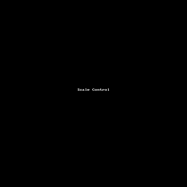 1579709453189-scale-control.gif